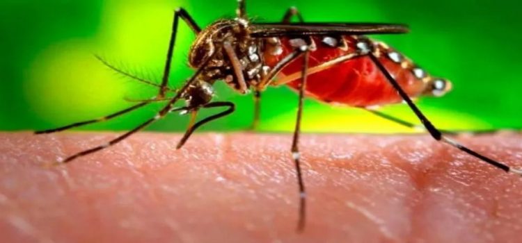Refuerzan medidas sanitarias ante el dengue en Chiapas