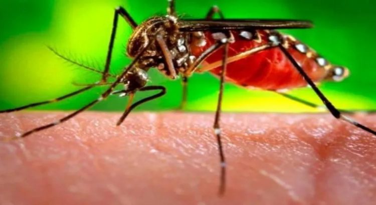 Refuerzan medidas sanitarias ante el dengue en Chiapas