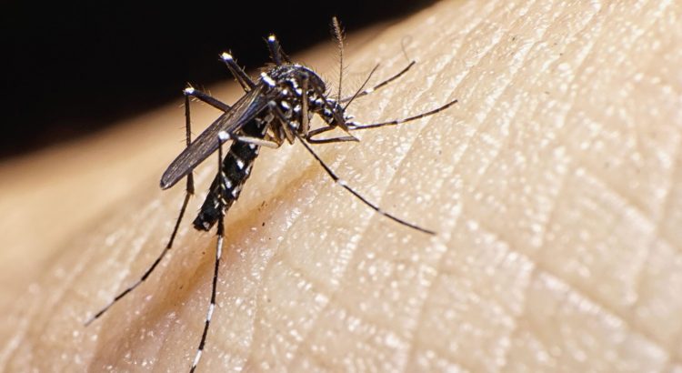 Municipios de Chiapas golpeados por epidemia de dengue