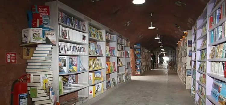 Abrieron una biblioteca con libros que encontraron en la basura