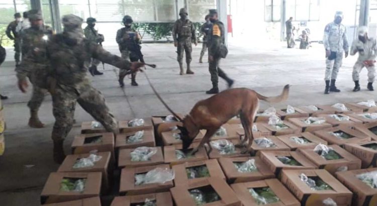 Efectivos de Semar aseguran en Chiapas 873 kilos de cocaína