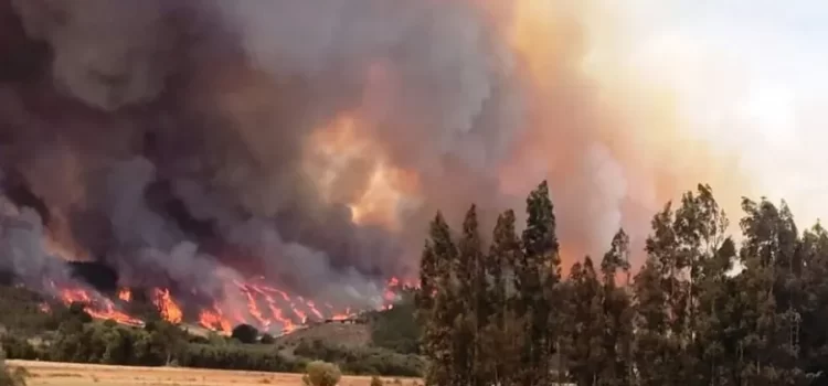 Solicita Chile ayuda a México