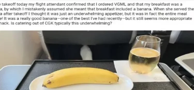 Pidió comida vegana en el avión
