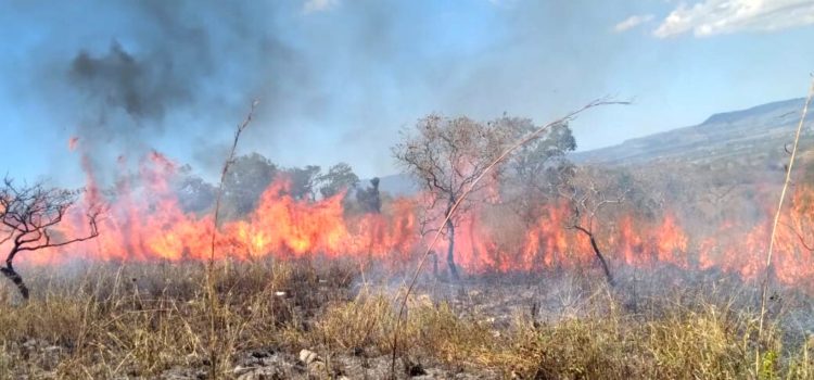 Sancionarán a quien propicie incendios en Chiapas