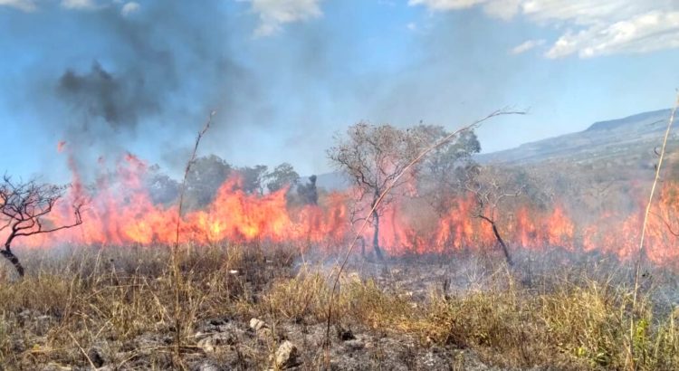 Sancionarán a quien propicie incendios en Chiapas