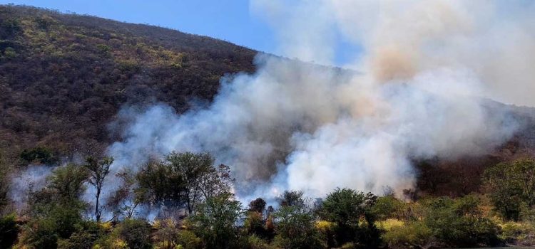 Chiapas reporta dos incendios forestales; uno de ellos, en el Cañón del Sumidero