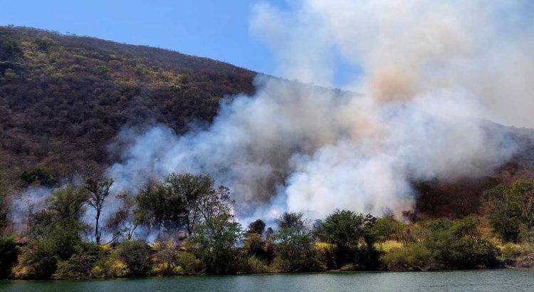 Chiapas reporta dos incendios forestales; uno de ellos, en el Cañón del Sumidero