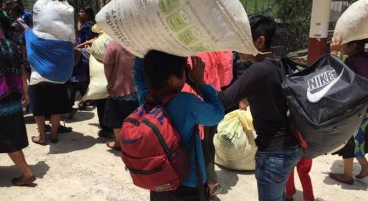 Desplazamientos internos afectan la vida de los niños indígenas en Chiapas