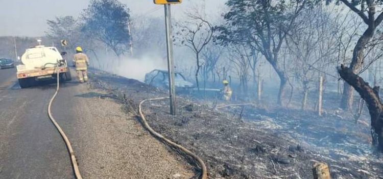 Incendios activos consumen más de 500 hectáreas de flora en Chiapas