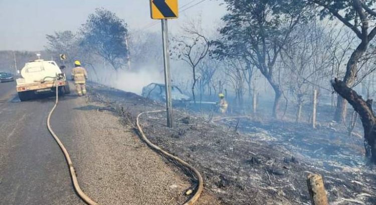 Incendios activos consumen más de 500 hectáreas de flora en Chiapas