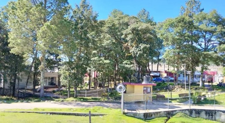 Organizaciones denuncian la detención injusta de integrantes del EZLN en Chiapas