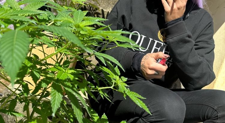 YouTube graba en Chiapas cultivo de cannabis