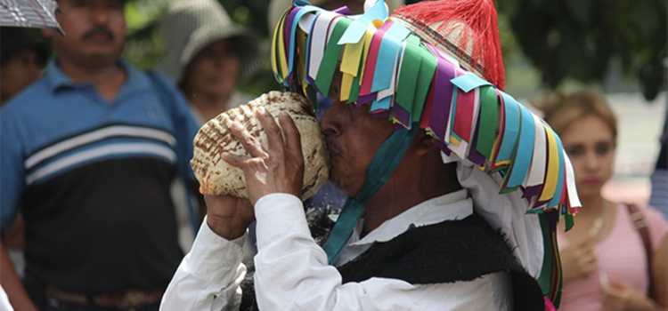 Diputada exige acciones para preservar las lenguas indígenas en Chiapas