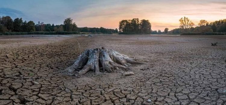 Se extiende la sequía a casi el 80% del país