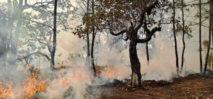 Se han sofocado 14 incendios en Chiapas