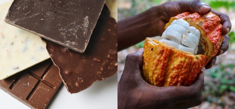 Desarrollan un tipo de chocolate más sostenible y nutritivo