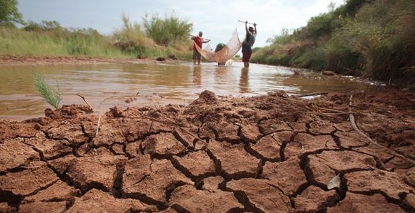 Son 78 municipios de Chiapas los que presentan sequía severa