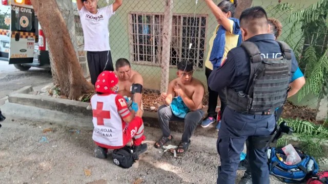 Ataque de abejas deja un muerto y 20 heridos en Chiapas