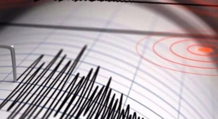 Sismo de magnitud 4.6 sacude Chiapas