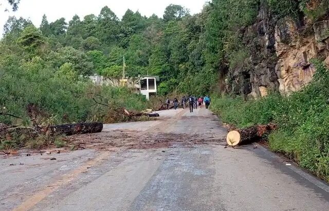 Pobladores de Chiapas obligados a participar en bloqueos carreteros por cárteles