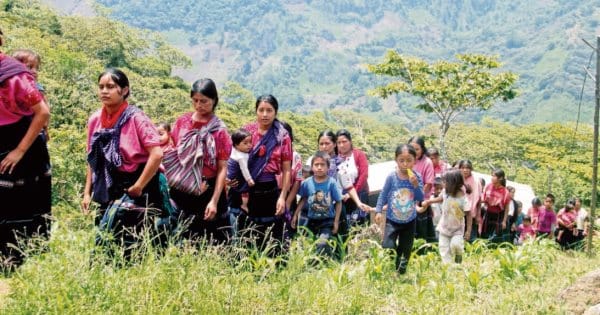 Movimiento de Mujeres en Defensa de la Madre Tierra denuncia aumento del crimen organizado en Chiapas