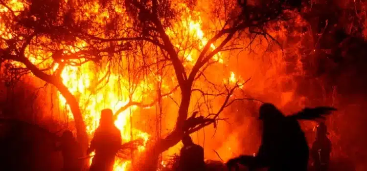 Chiapas ocupa el segundo lugar nacional en hectáreas afectadas por incendios