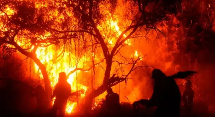 Chiapas ocupa el segundo lugar nacional en hectáreas afectadas por incendios
