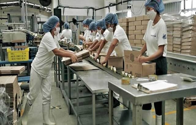 Chiapas se consolida en el noveno lugar nacional en establecimientos económicos