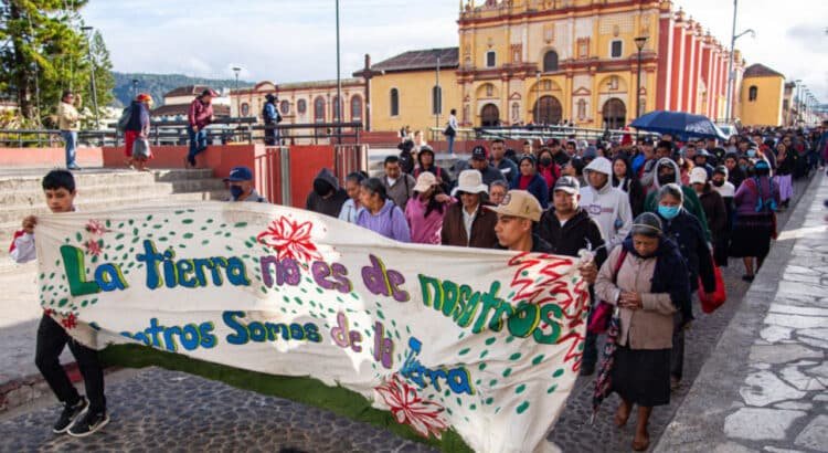Ambientalistas exigen protección para humedales en Chiapas