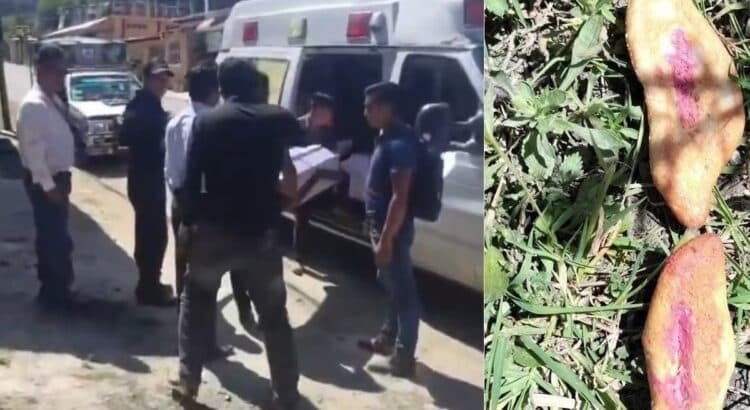 Tres niños mueren tras ingerir pan presuntamente envenenado en Chiapas
