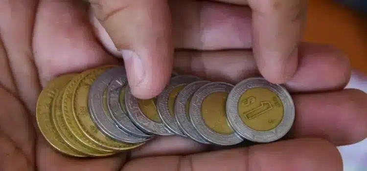 “Blindan” diputados las propinas de los trabajadores