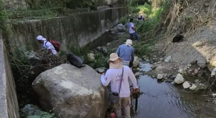Municipios de Chiapas vulnerables ante la temporada de huracanes