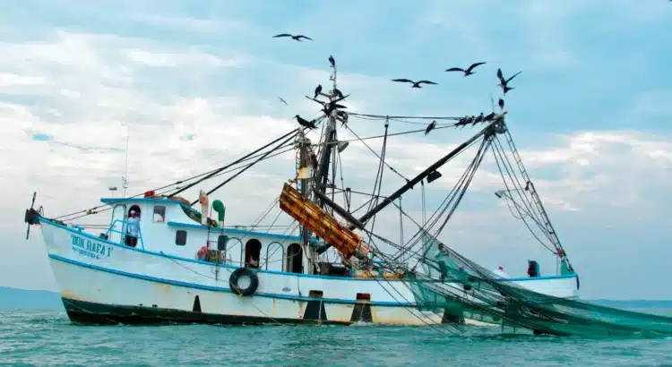 Veda en la Costa de Chiapas afecta a miles de embarcaciones
