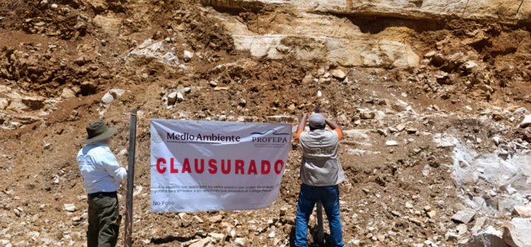 Extracción ilegal de material pétreo afecta más de 76 mil m2 de bosques en Ocosingo, Chiapas