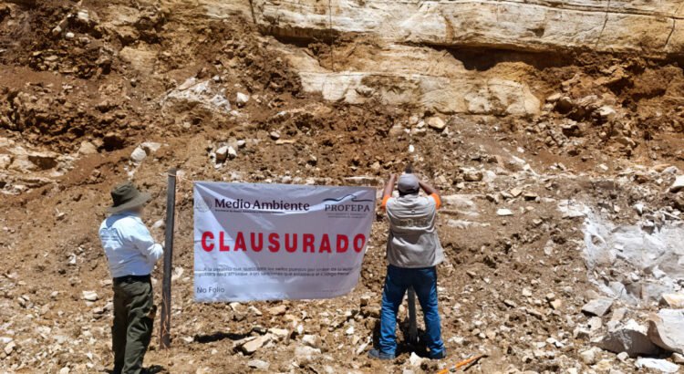 Extracción ilegal de material pétreo afecta más de 76 mil m2 de bosques en Ocosingo, Chiapas