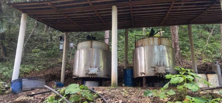 Guardia Nacional deshabilita laboratorio clandestino de drogas sintéticas en Chiapas