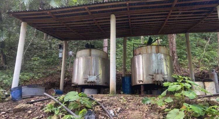 Guardia Nacional deshabilita laboratorio clandestino de drogas sintéticas en Chiapas