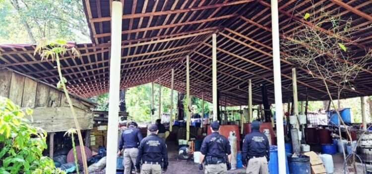 FGR asegura casi una tonelada de metanfetamina en Chiapas