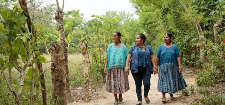 Rezago en la titularidad de tierras para mujeres indígenas en Chiapas