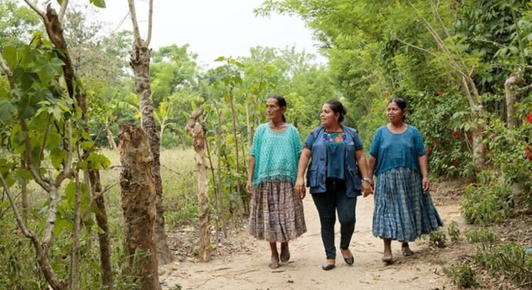 Rezago en la titularidad de tierras para mujeres indígenas en Chiapas
