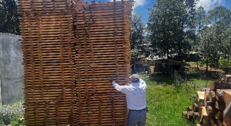 Profepa clausura carpinterías en Chiapas por operar sin permisos