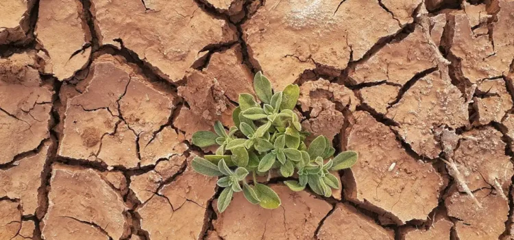 Se dirige el planeta hacia un catastrófico calentamiento de 2.5°C advierte la ONU