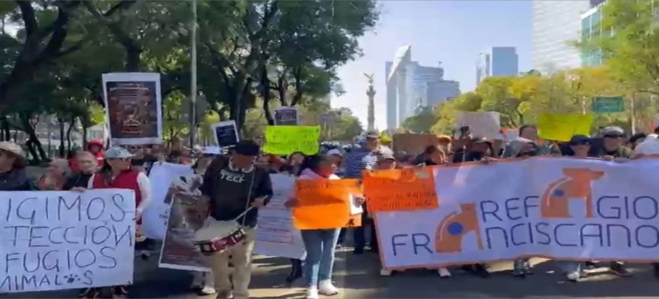 “No fue rescate, fue despojo”: animalistas marchan en CDMX por retiro de animales del Refugio Franciscano