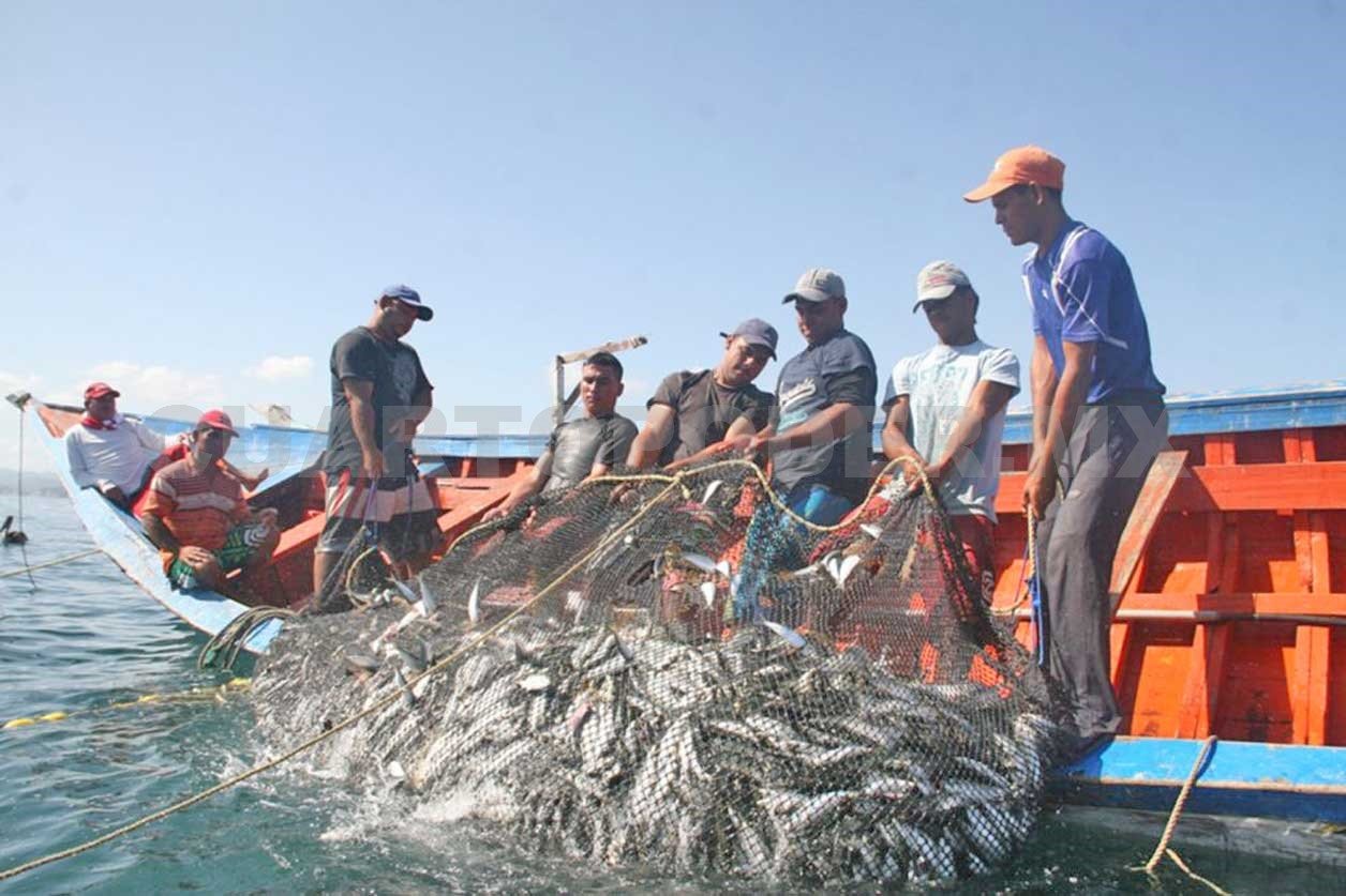 Impulsan producción pesquera en Chiapas