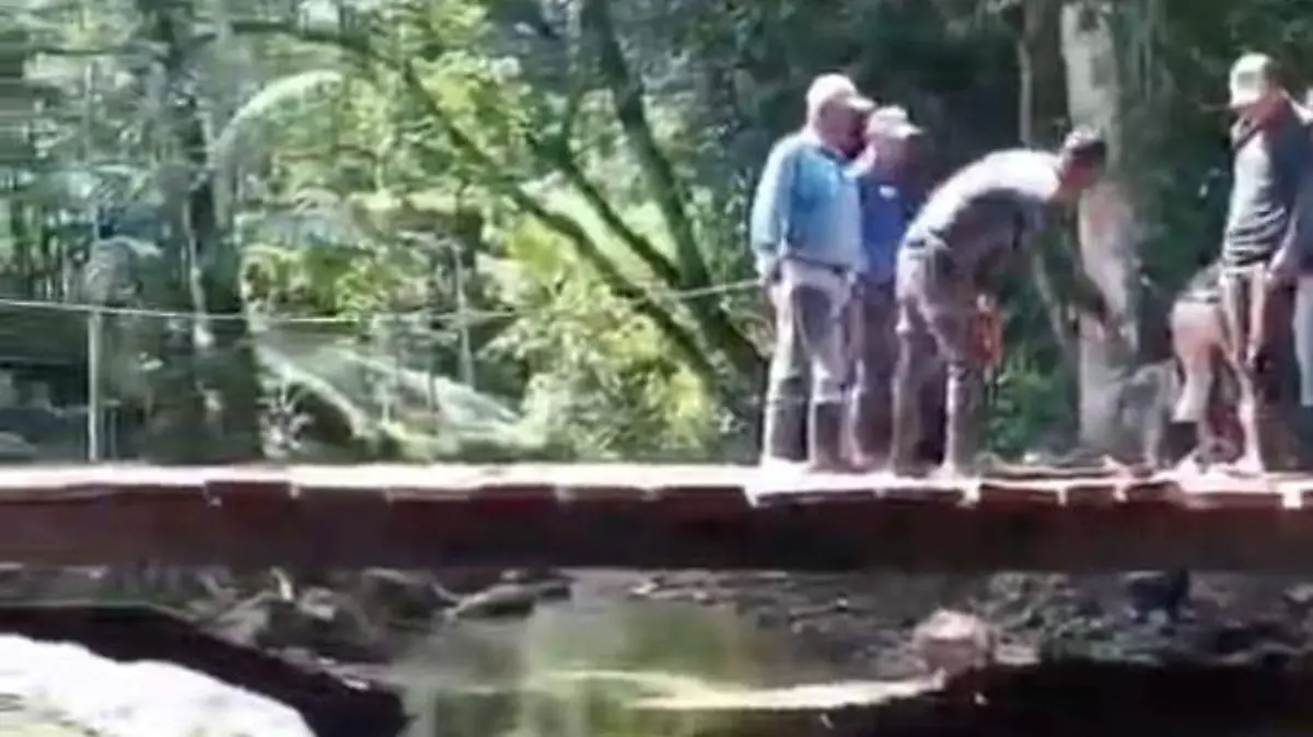 Con machetes y tablas, comunidad de la Selva de Chiapas levanta puente ante abandono del ayuntamiento