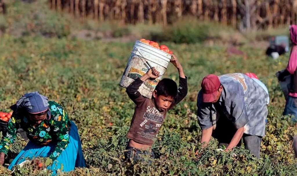 OIT reporta más de 338 mil menores que realizan actividades económicas en Chiapas